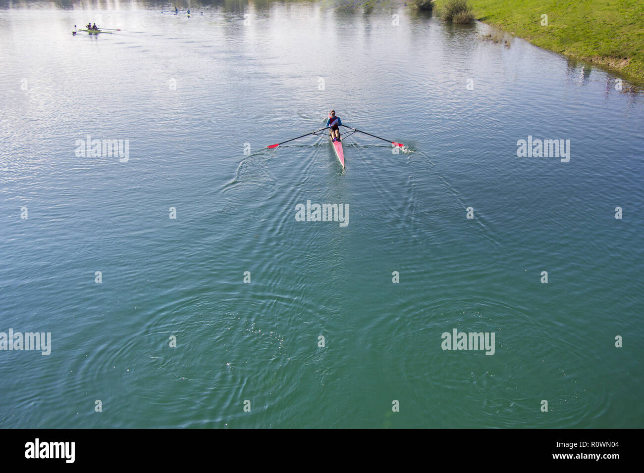 Single scull rowing competitor, rowing race one rower Stock Photo
