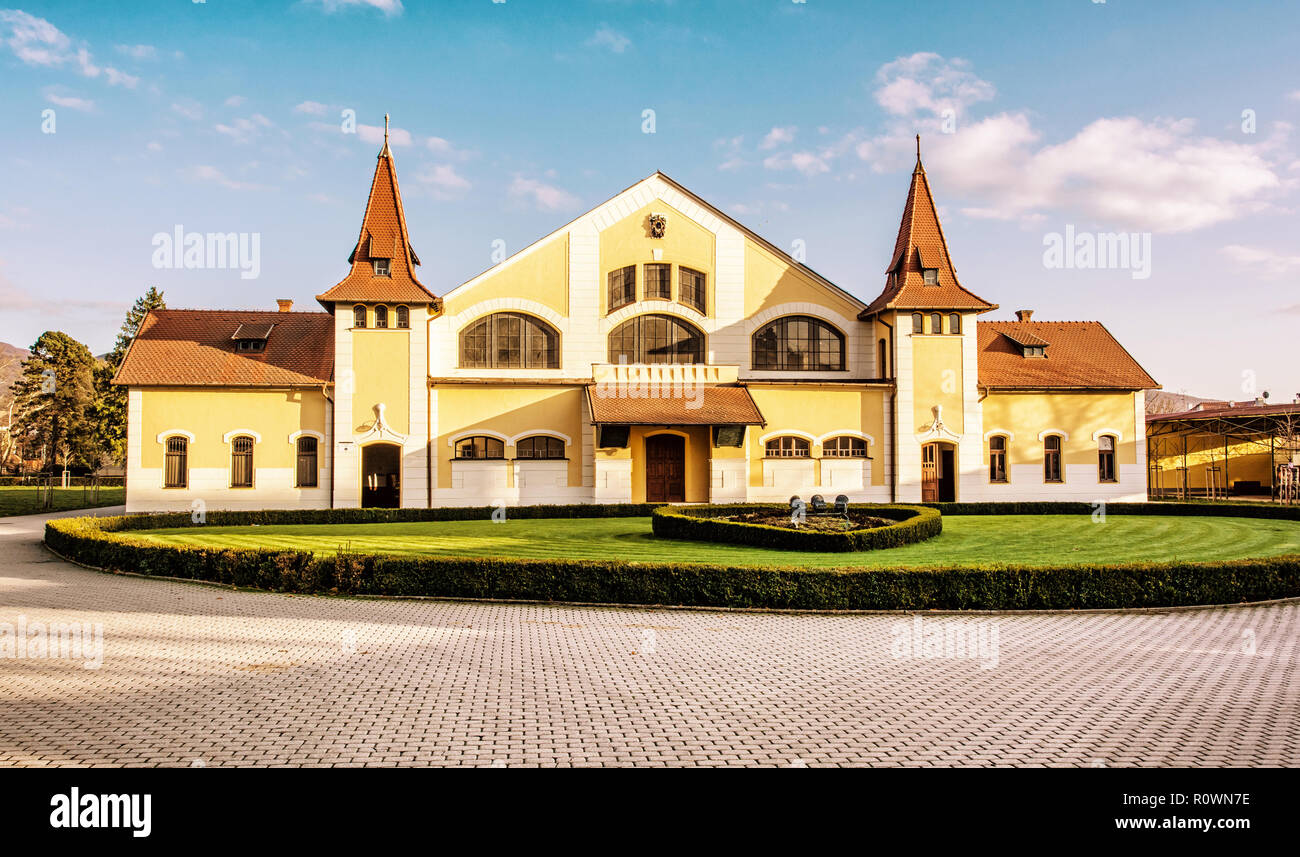 Historic building of national stud farm, Topolcianky, Slovak republic. Architectural theme. Travel destination. Yellow photo filter. Stock Photo