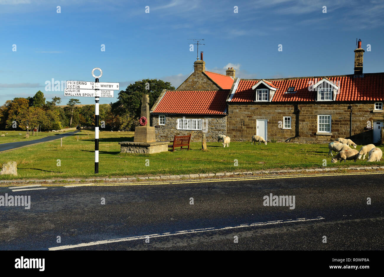 Sheep grazing beside cottages in Goathland that often appeared in episodes of the television series Heartbeat Stock Photo