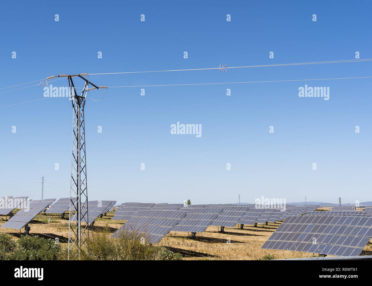 Solaranlage, Photovoltaik-Freiflaechenanlage mit Stromleitung Stock Photo