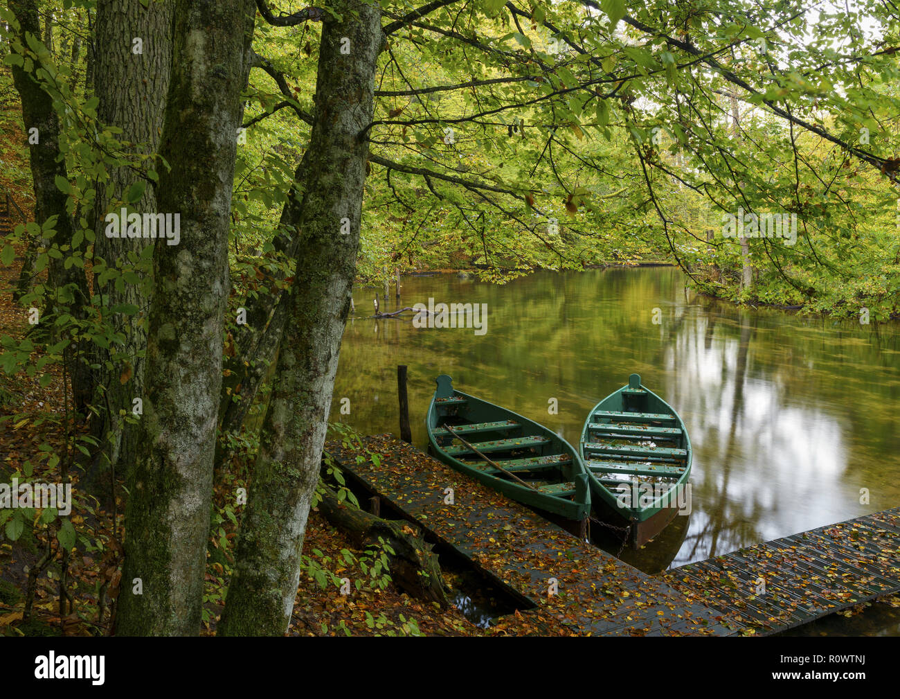 Ruderboote auf Fluss, Masuren, Polen Stock Photo
