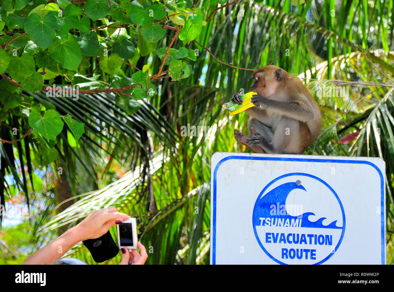 Krabi tsunami warning today live