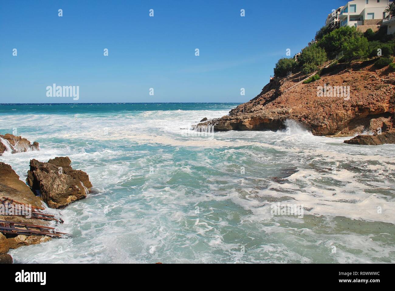 calça de onça 2018