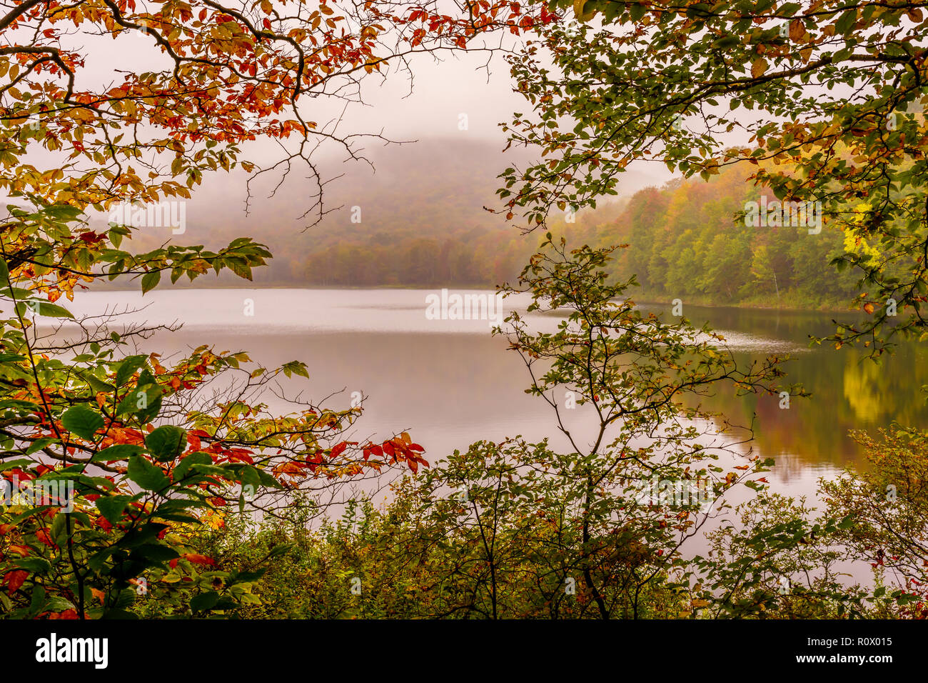 Big Pond in the Catskill Mountains of New York State with an early morning fog and trees changing colors in the autumn.. Stock Photo