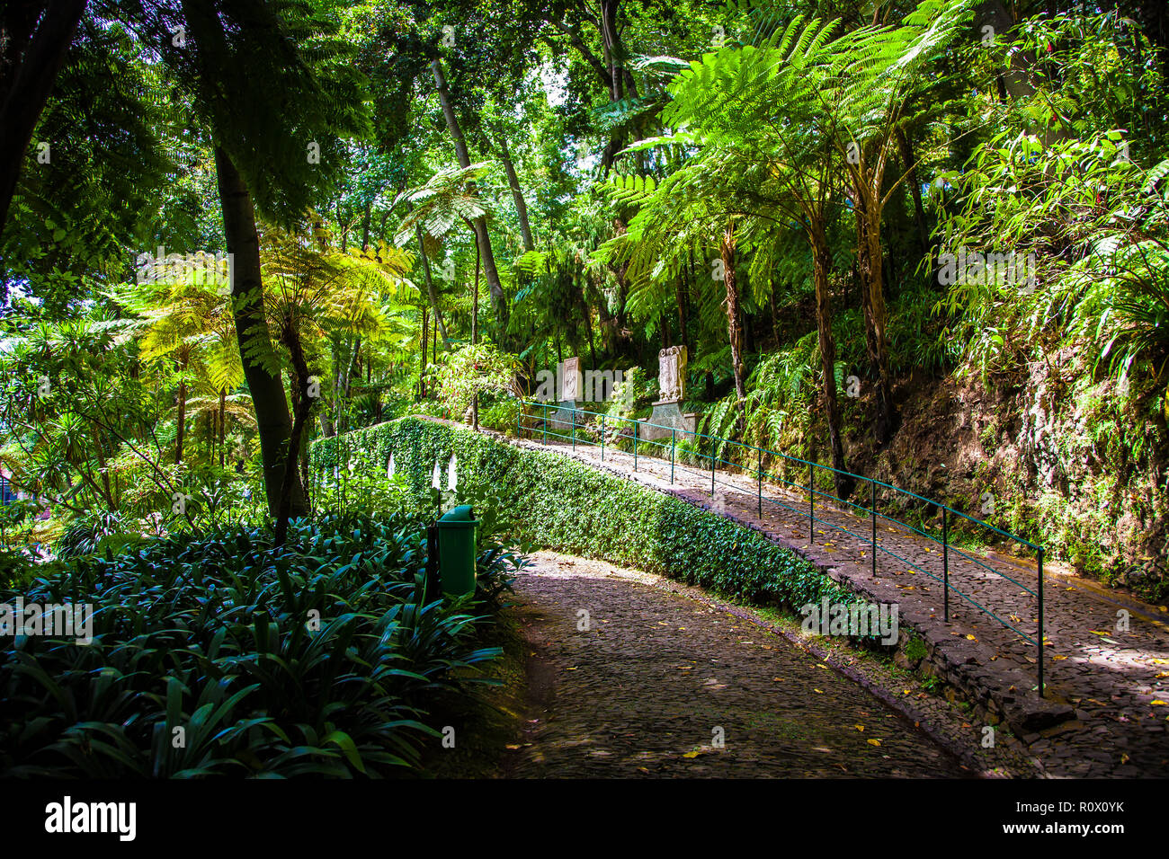 Madeira (funchal), portugal garden hi-res stock photography and images -  Page 29 - Alamy