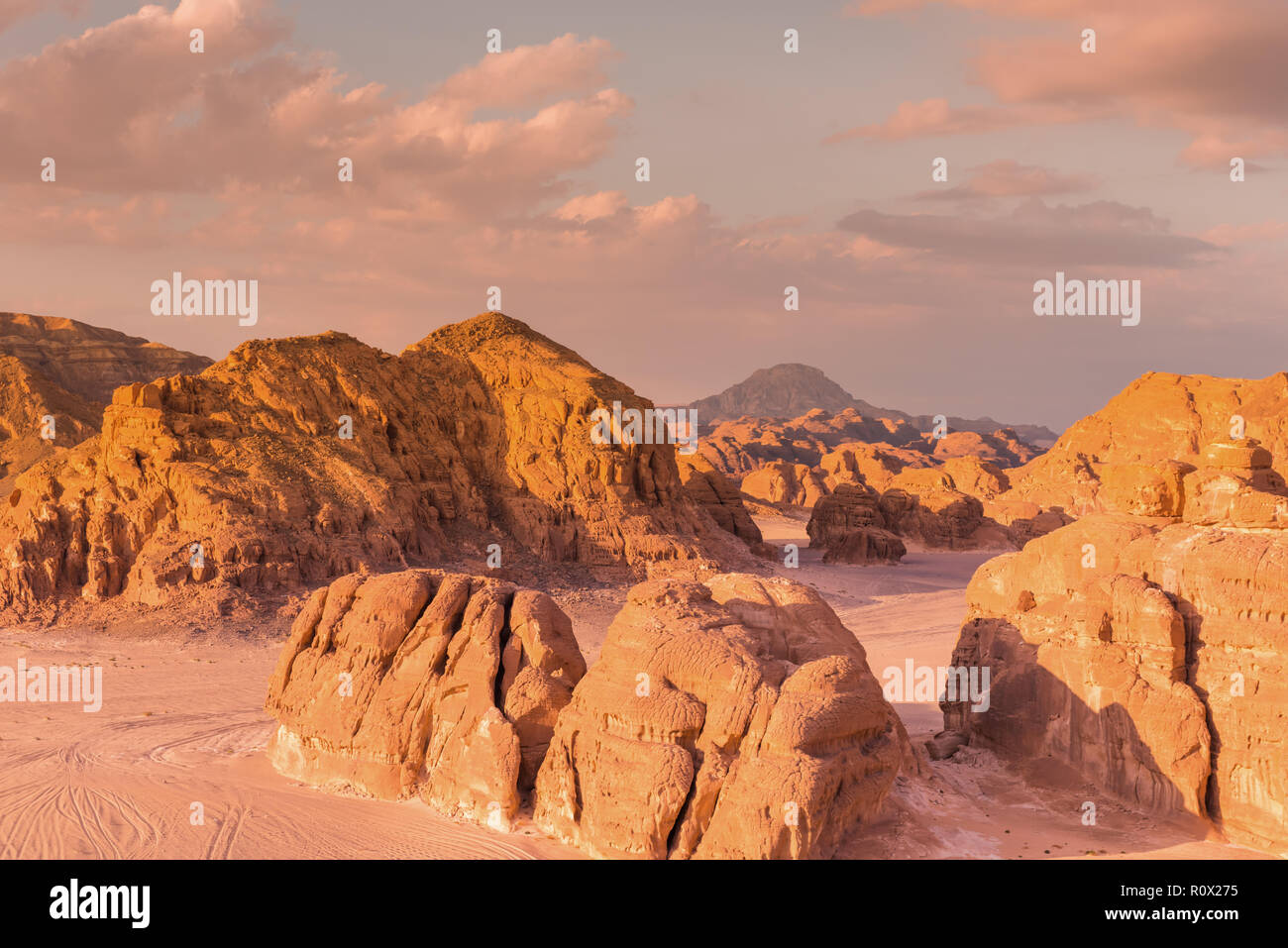 Gold arid desert landscape Sinai, Egypt Stock Photo