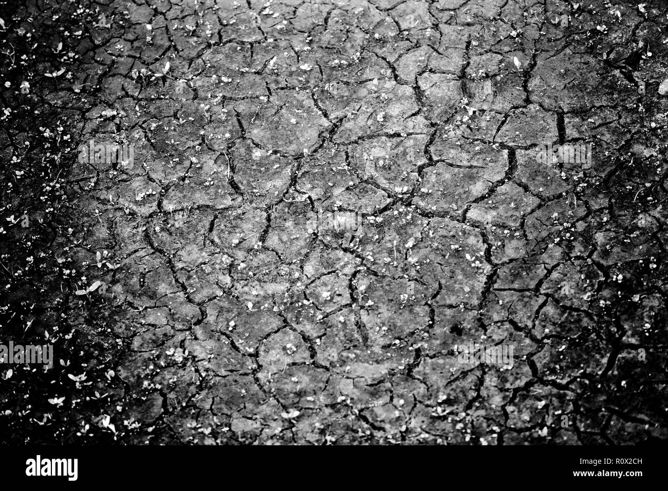 Drought riverbed, Bad Karlshafen, Upper Weser Valley,  Weser Uplands, Weserbergland, Hesse, Germany, Europe Stock Photo