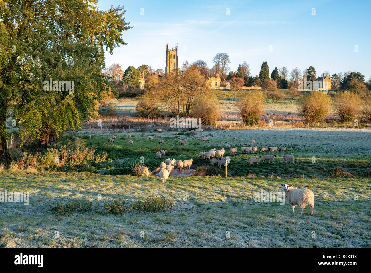 Sheep on a bridge crossing a stream infront of East Banqueting House and Saint James Church in the autumn at sunrise. Chipping Campden, Cotswolds, UK Stock Photo