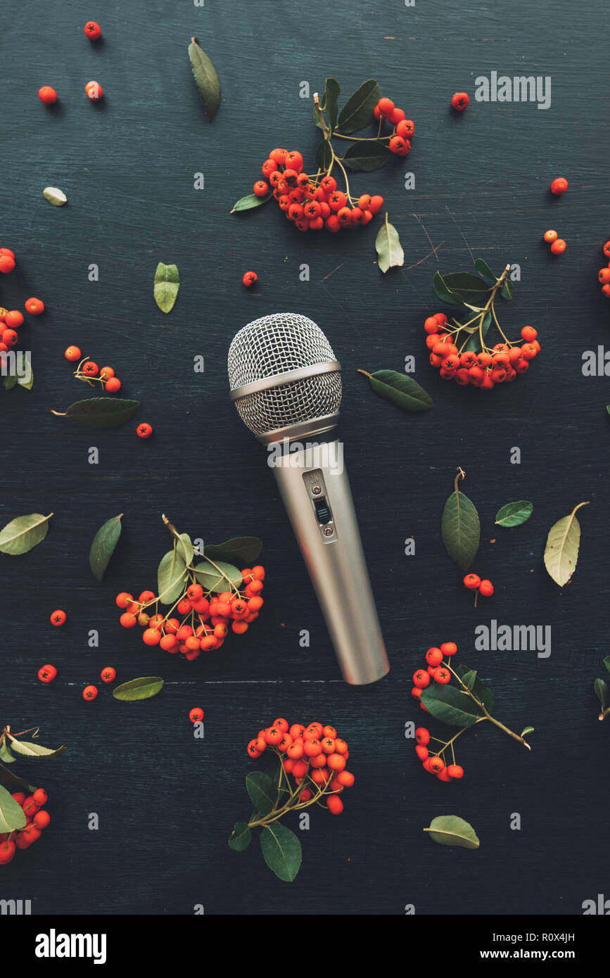 Microphone flat lay top view on dark background decorated with wild berry fruit arrangement Stock Photo