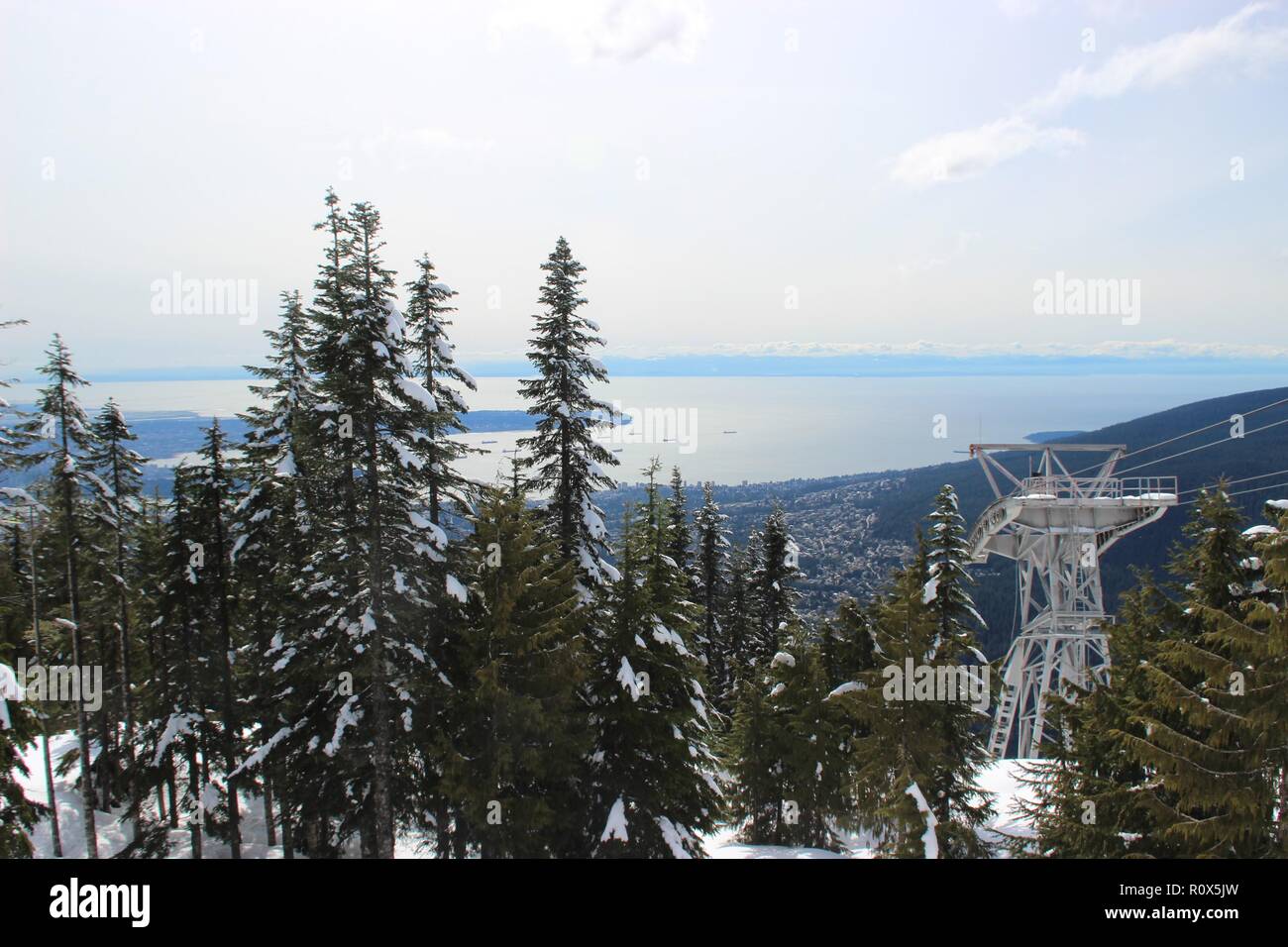 Christmas trees (Evergreen trees) Covered with Snow, Grouse Mountain, Vancouver, Canada Stock Photo