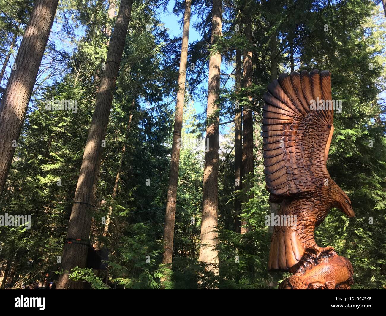 Canadian Indigenous Wooden Eagle Sculpture in Capilano Suspension Bridge Park, Vancouver, Canada Stock Photo