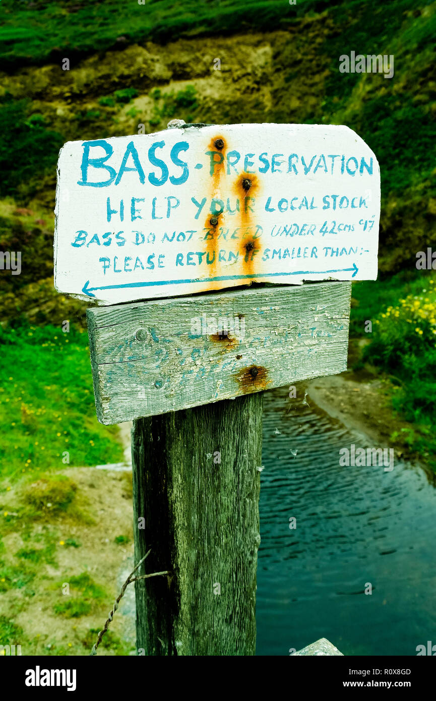 Conservation of fish stocks hi-res stock photography and images - Alamy