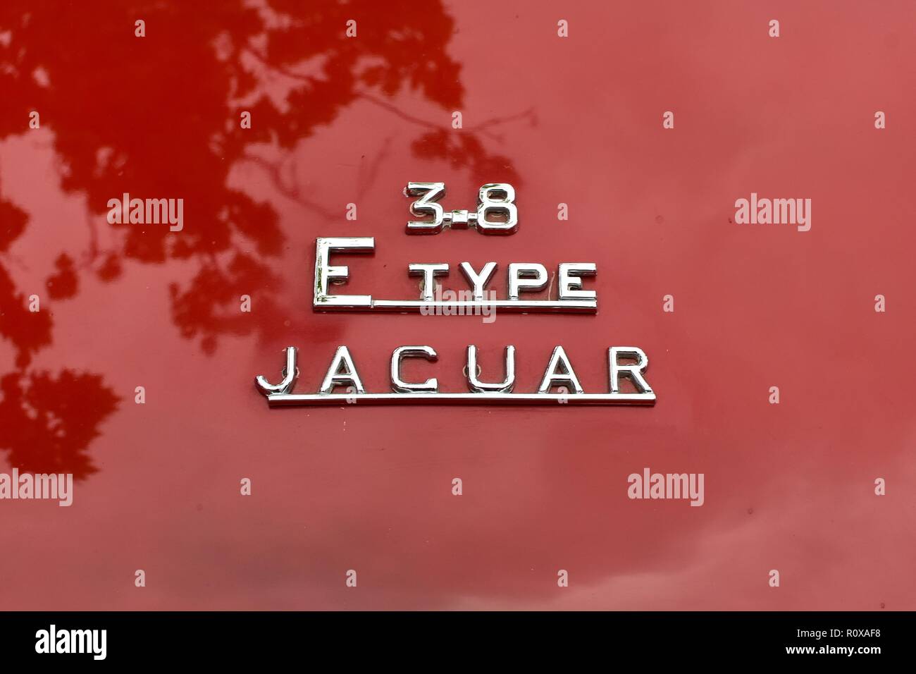 E-Type Jaguar name plate Stock Photo