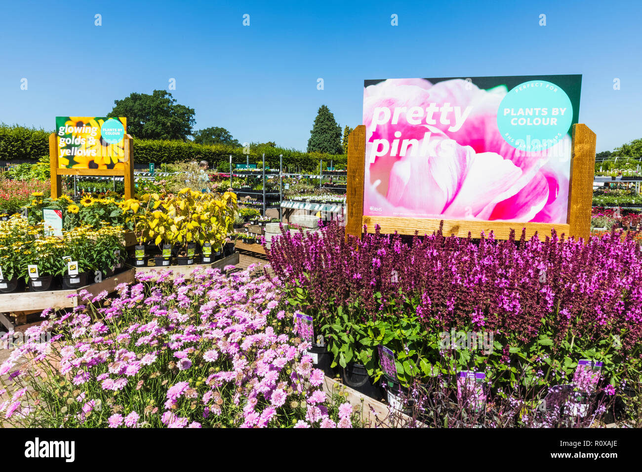 Rhs wisley garden centre hi-res stock photography and images - Alamy