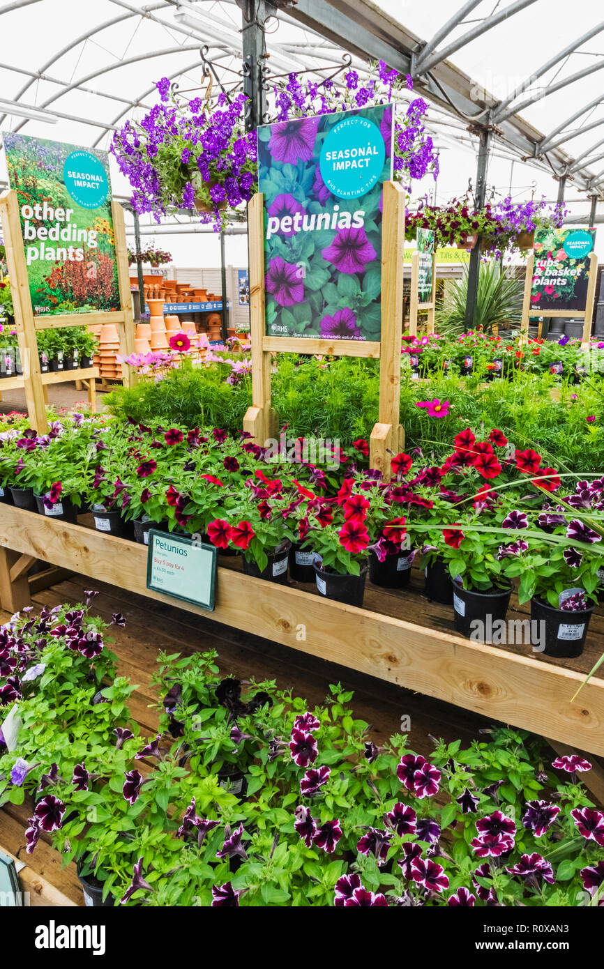 Wisley garden centre hires stock photography and images Alamy