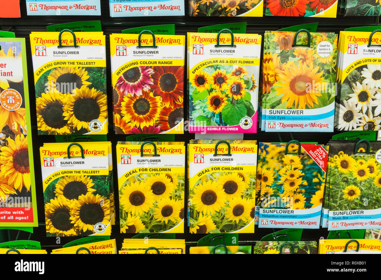 Wales, Conwy, Bodnant Garden, Garden Centre, Flower Seed Packets for