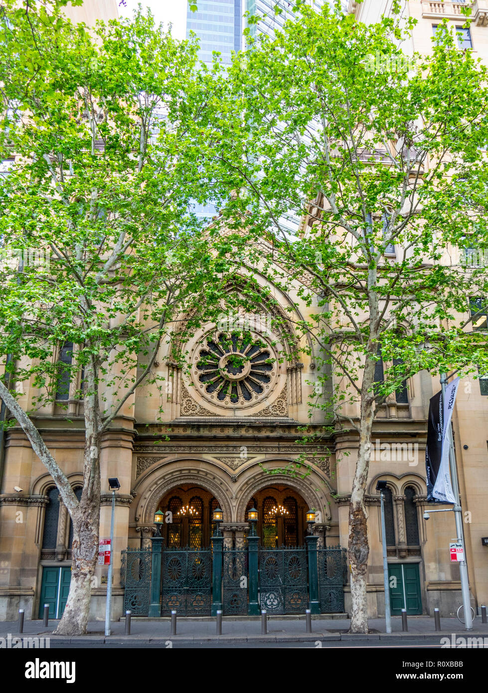 London Plane trees in front of the Great Synagogue of Sydney Elizabeth Street NSW Australia. Stock Photo
