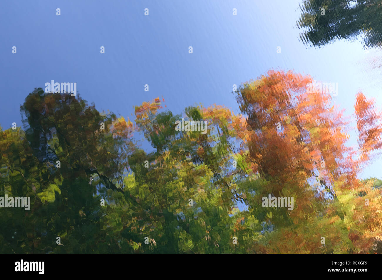autumn reflection Stock Photo