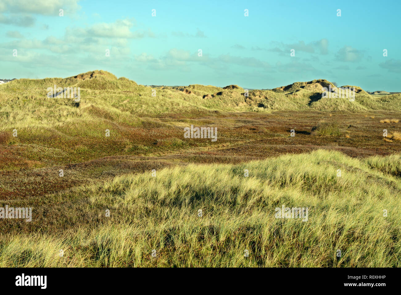 Blow Outs High Resolution Stock Photography And Images Alamy