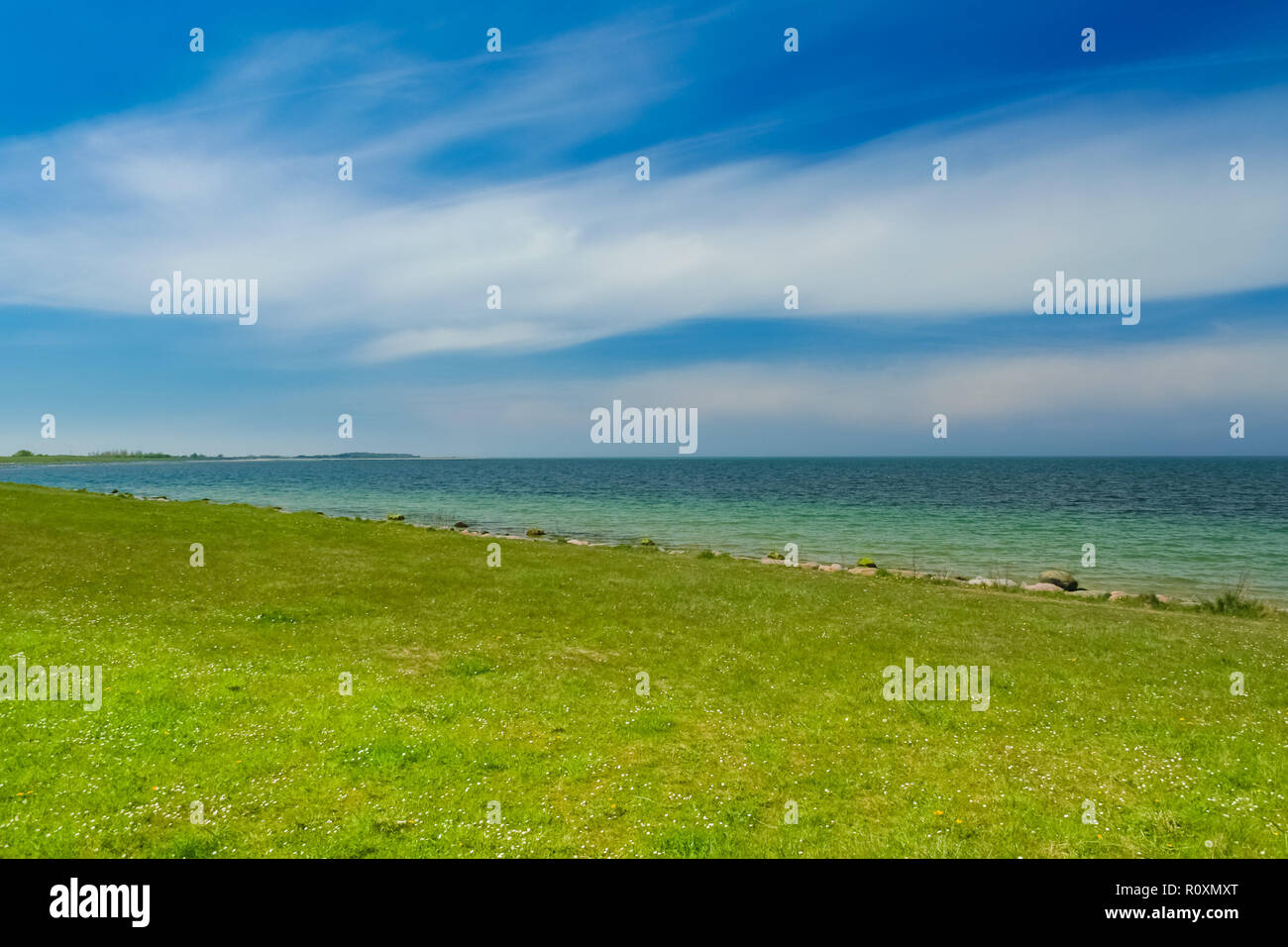 A gorgeous empty beach meadow overlooking the Baltic Sea under a blue sky on Fehmarn island in Germany. Stock Photo