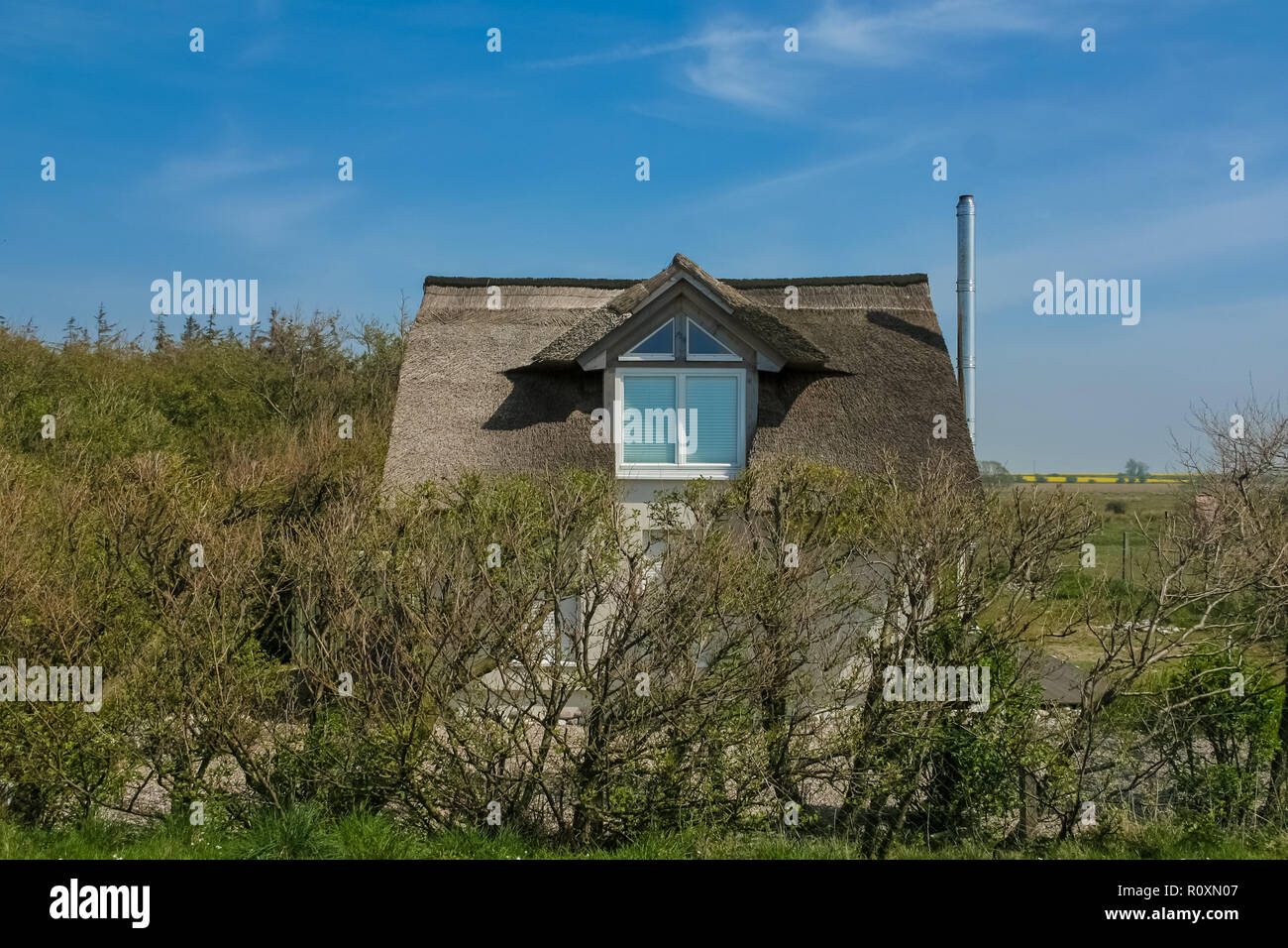 A small house with a dormer, a metal chimney and a typical traditional thatched roof made with dry water reed, is standing behind a shrub on a German... Stock Photo