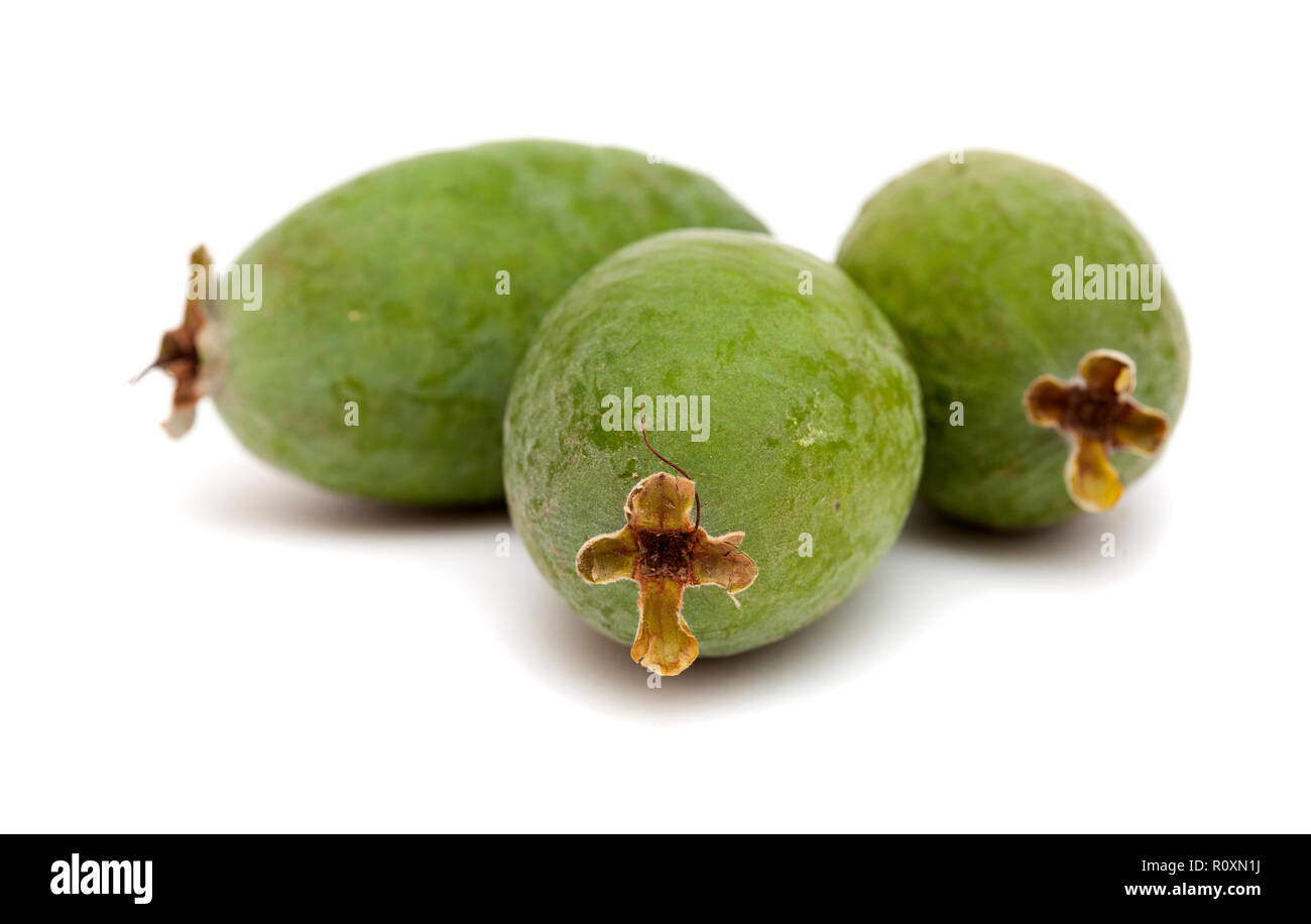 feijoa or pineapple guava isolated on white background Stock Photo Alamy