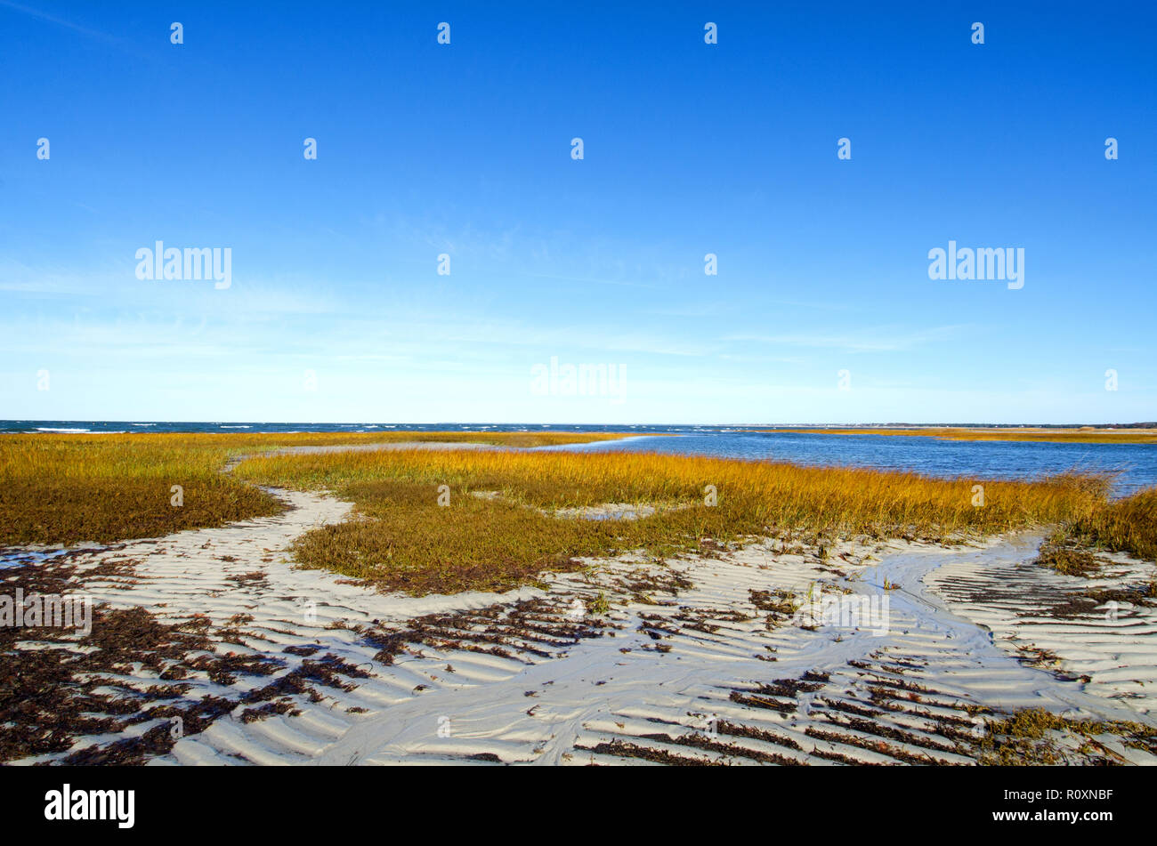 Skaket Beach in Orleans, Cape Cod, Massachusetts, USA at low tide with a clear, blue sky and sandy beach grass Stock Photo