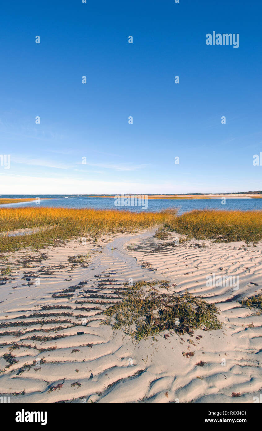 Skaket Beach in Orleans, Cape Cod, Massachusetts, USA at low tide with a clear, blue sky and sandy beach grass Stock Photo