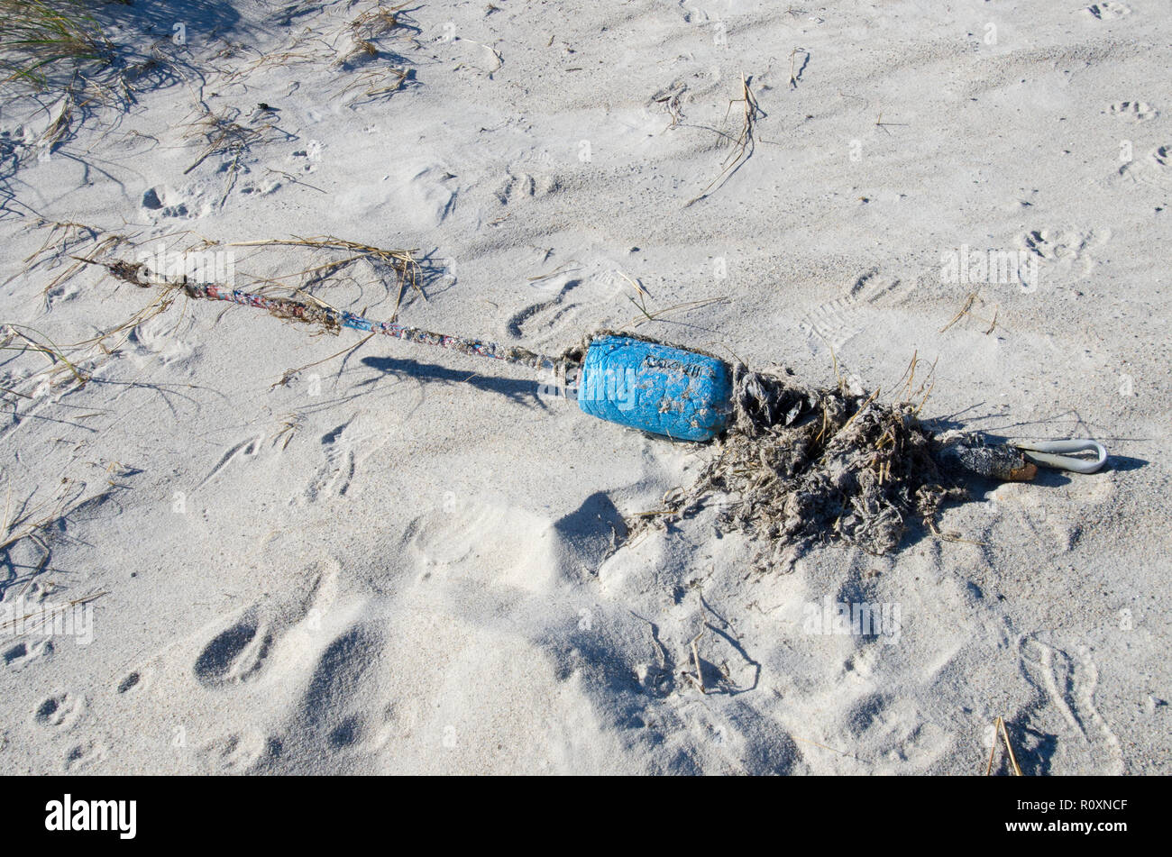 Blue lobster pot buoy with wood pole and rope washed ashore in the sand on Skaket Beach, Orleans, Cape Cod, Massachusetts, USA Stock Photo