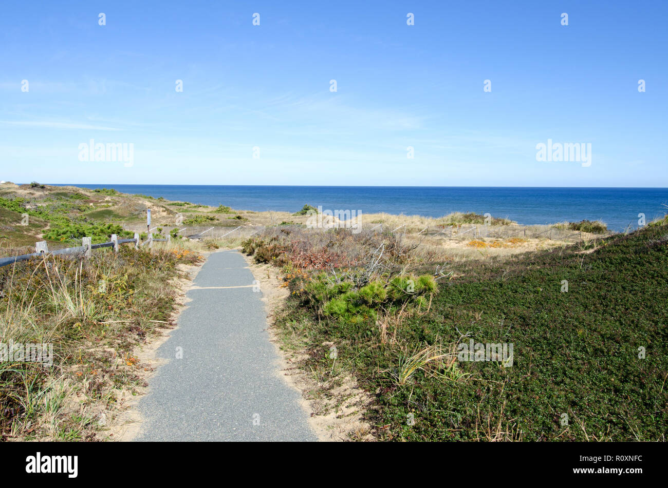 Walking path at Marconi Staion in the Cape Cod National Seashore, part