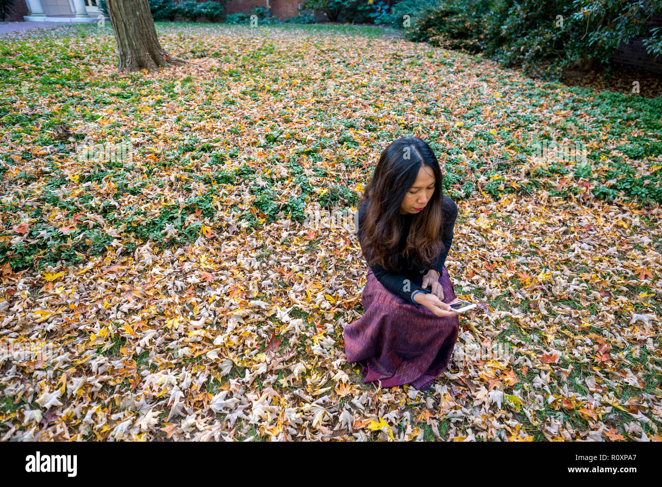 Thai woman kneeling on ground surrounded by leaves in the fall looking at camera looking at mobile phone Stock Photo