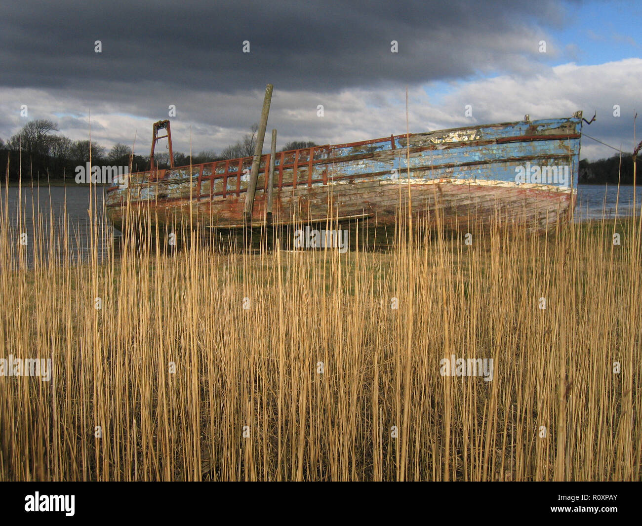 The hulk of the old wooden boat 'Wellspring' among the reed beds on the banks of the River Dee, Kirkcudbright, Dumfries and Galloway, SW Scotland Stock Photo
