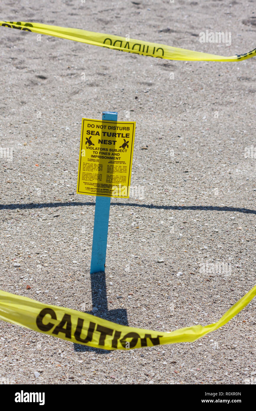 Miami Beach Florida,public beach,sign,warning,sea turtle nest,caution,yellow tape,do not disturb,ecology,Endangered Species Act,fines,imprisonment,pro Stock Photo