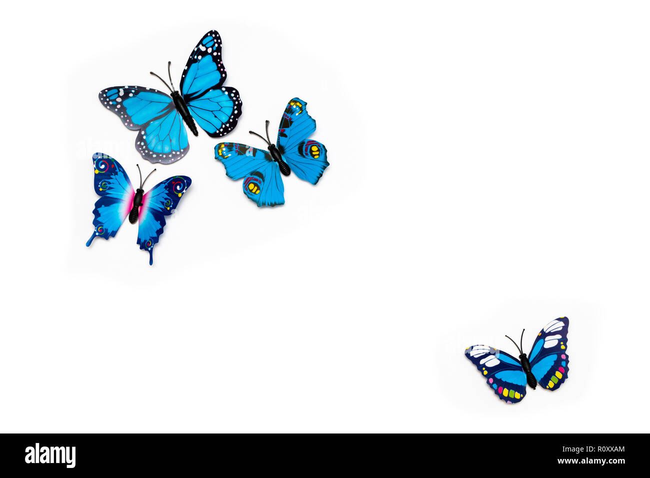 Group of multicolored tropical butterflies isolated on white background Stock Photo