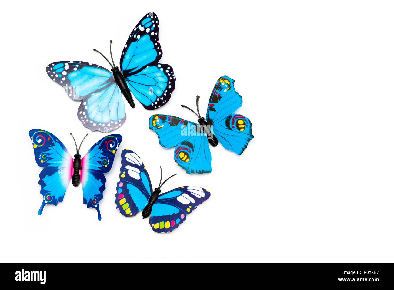 Group of multicolored tropical butterflies isolated on white background Stock Photo