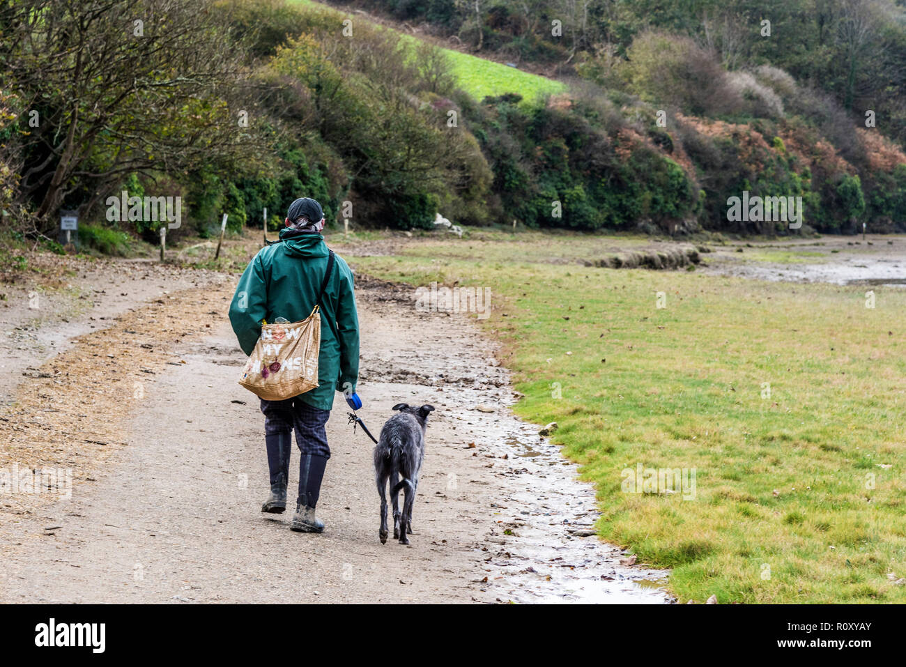 A man walking his dog along the Penpol footpath on the Gannel Estuary at low tide in Newquay Cornwall. Stock Photo