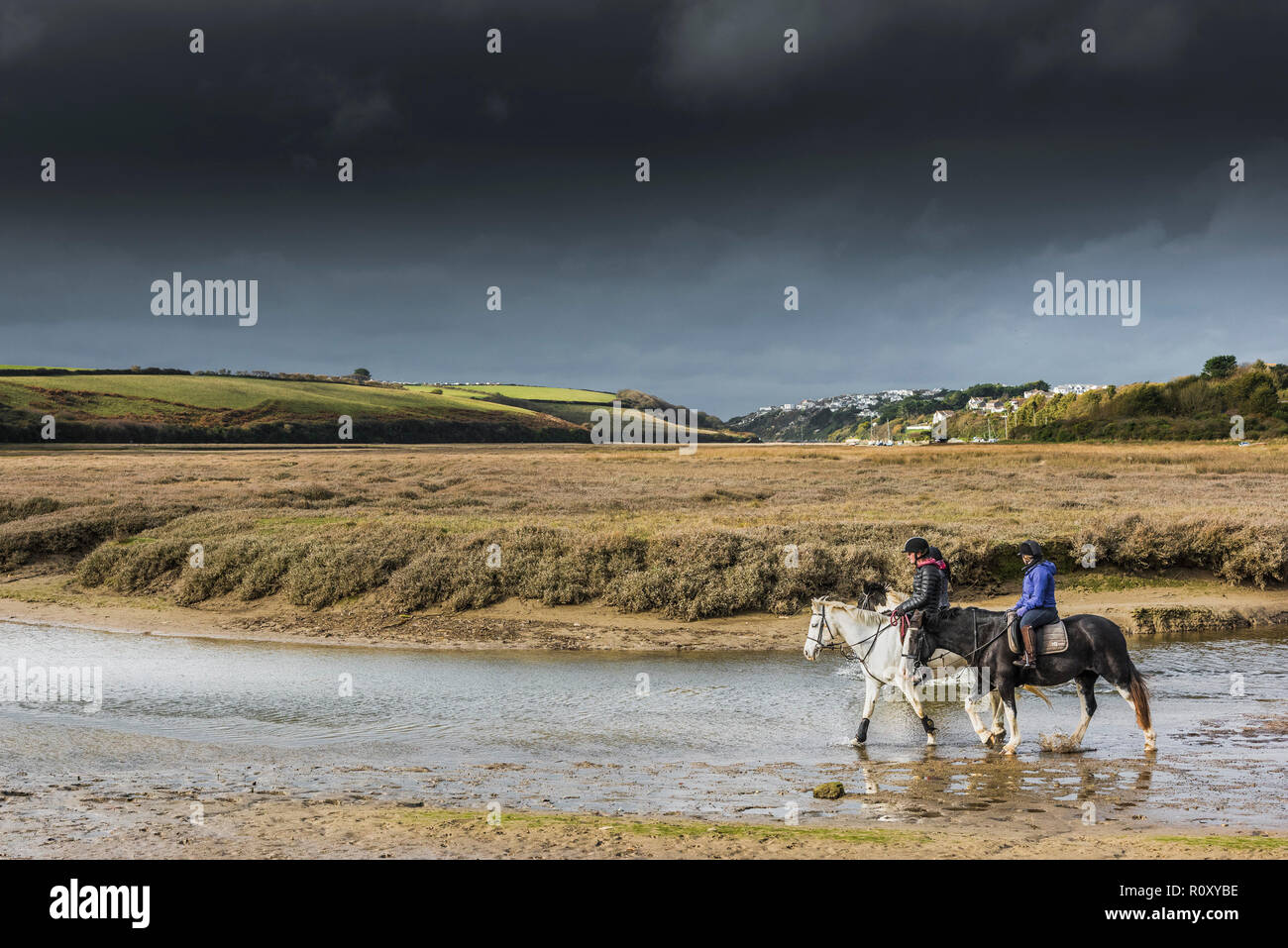 Pony trekking along the Gannel River at low tide in Newquay Cornwall. Stock Photo