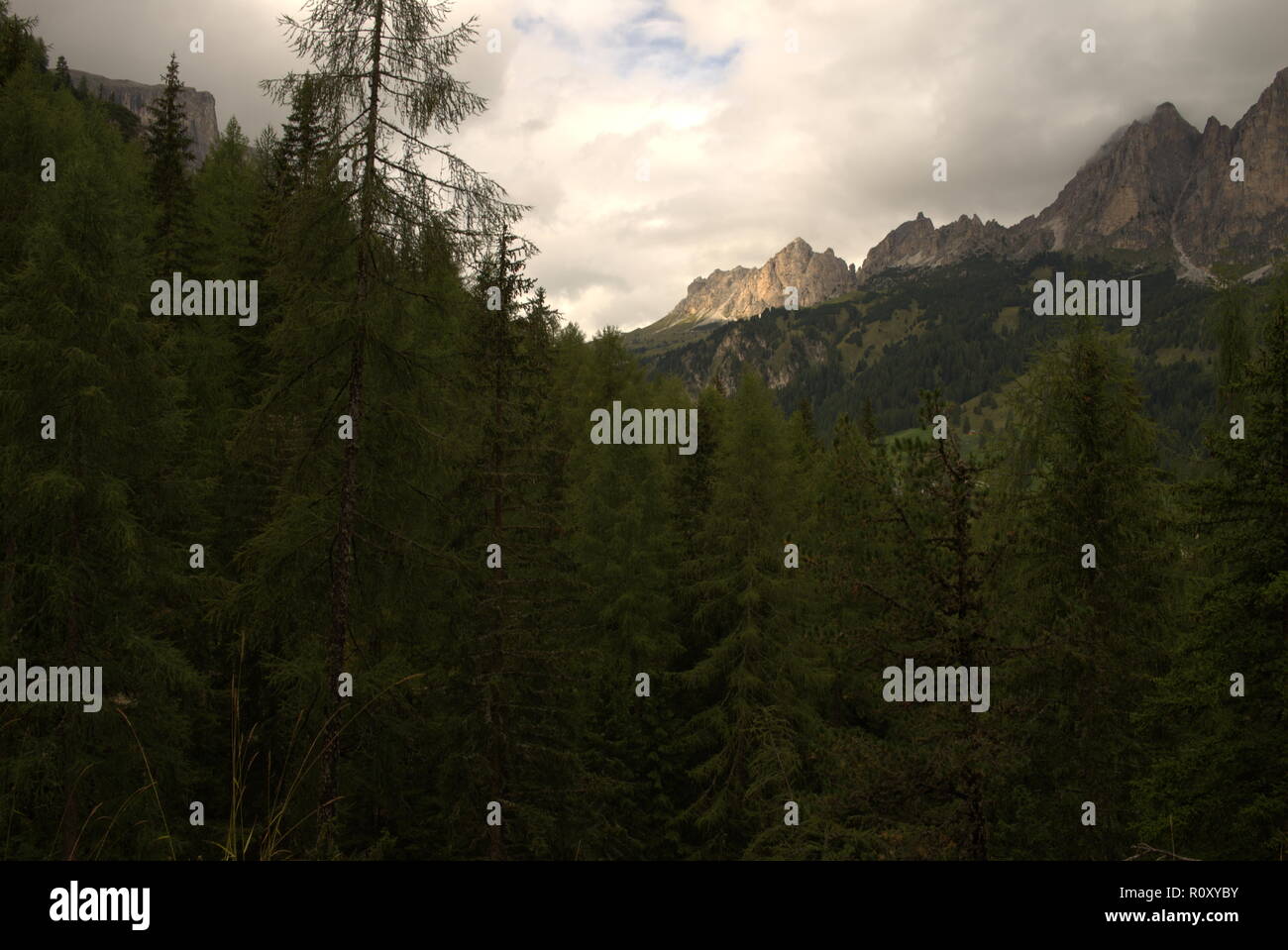 Mountain landscape with pinnacles and trees at raining weather in the ...