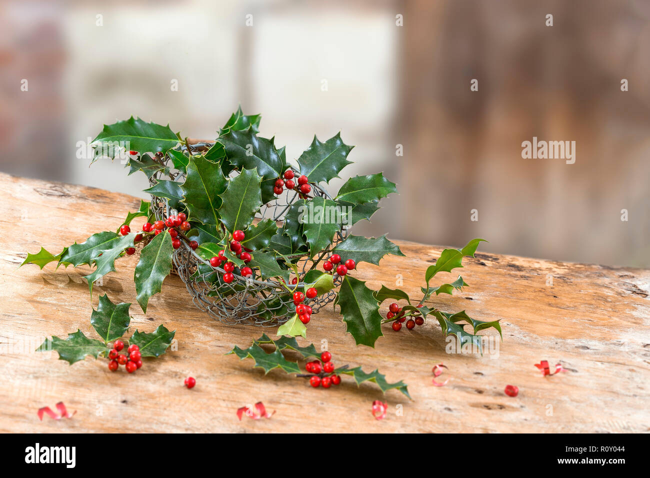 close up iron, basket of holly red berries branches, grean leaves, evergreen, on rustic, table over a , vintage ambiance, frame, on old red brick wall, space for text Stock Photo