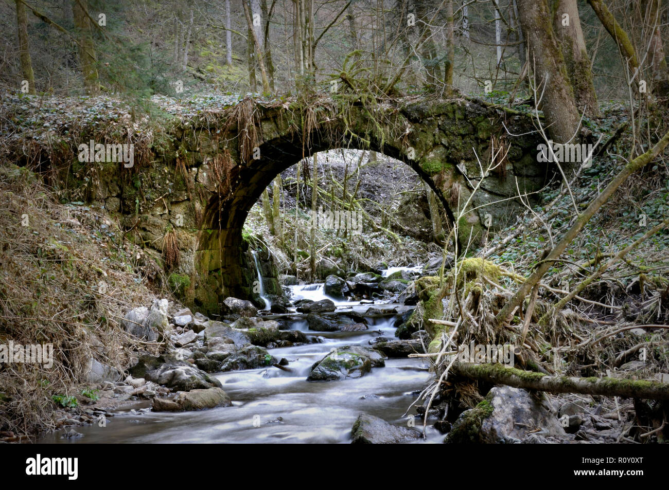 An old rustical bridge in the black forest Stock Photo