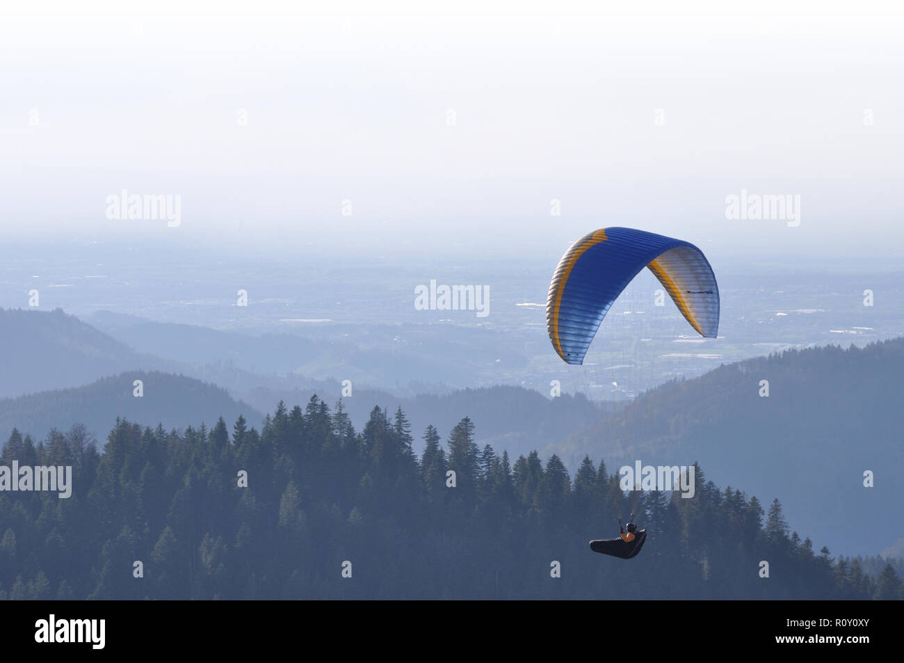 Paraglider flies over the black forest on a foggy day Stock Photo