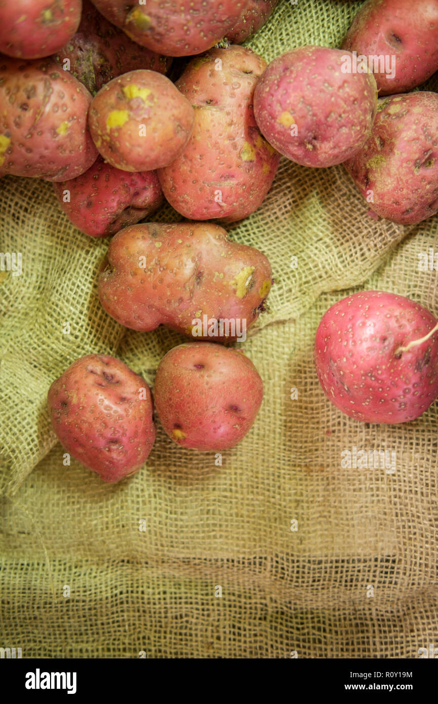 Organic farmers market red potatoes on hemp cloth Stock Photo