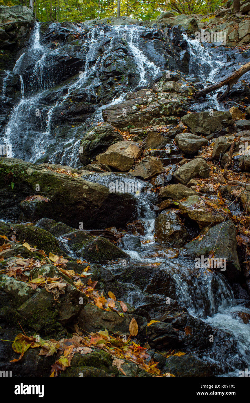 Waterfall fallen oak leaves hi-res stock photography and images - Alamy