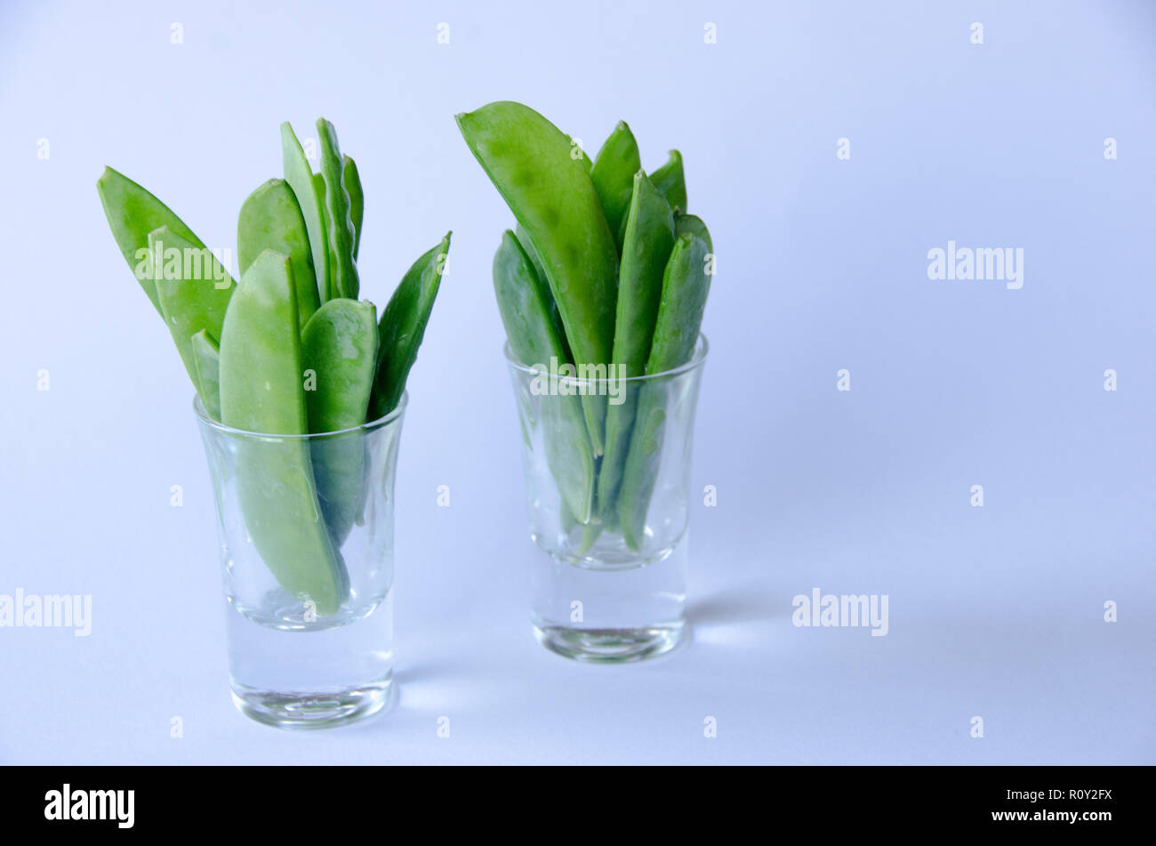 A bunch of snow peas standing up in a little glass on white background Stock Photo