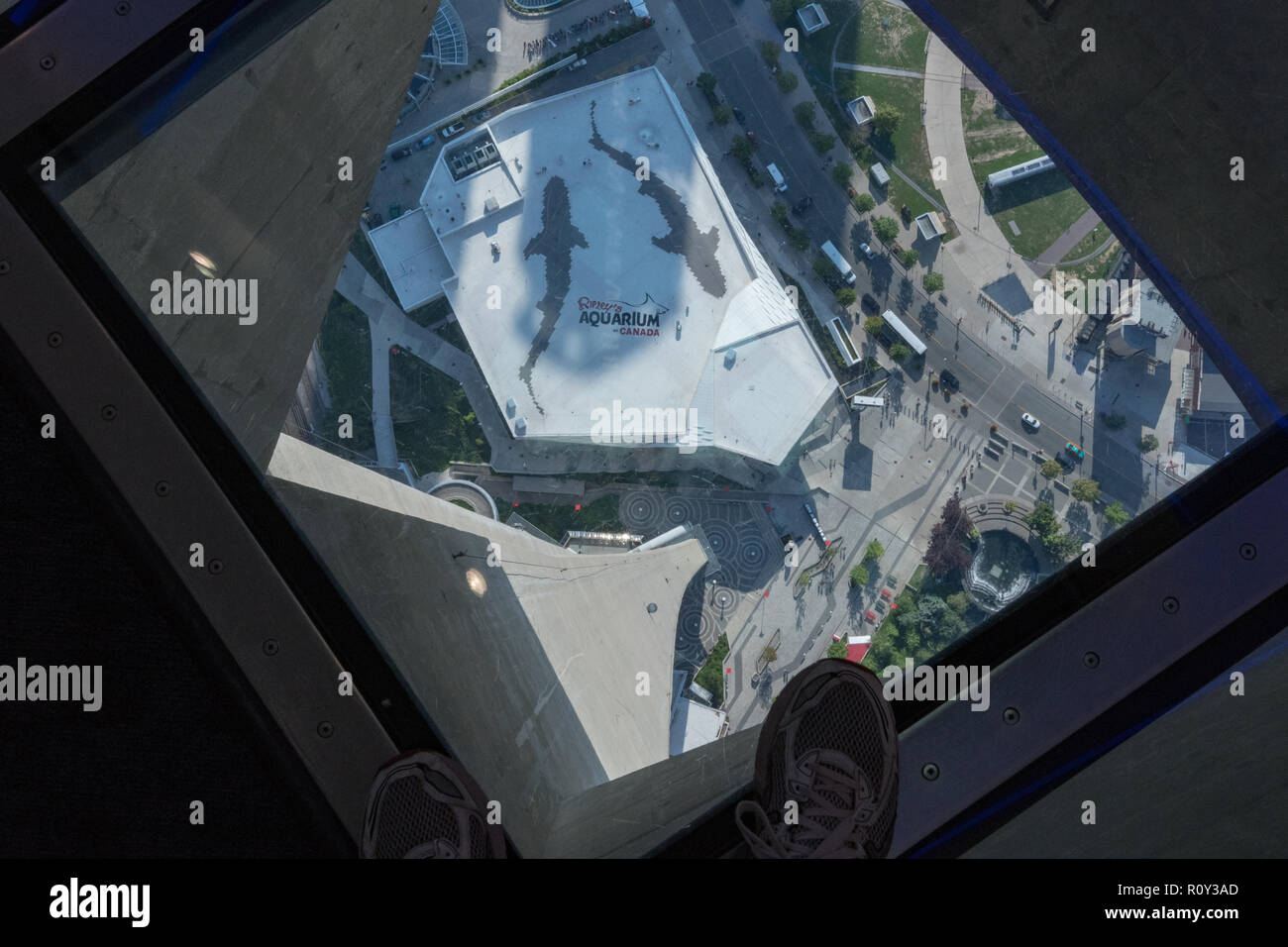 View From Glass Floor Of Observation Deck Of Cn Tower