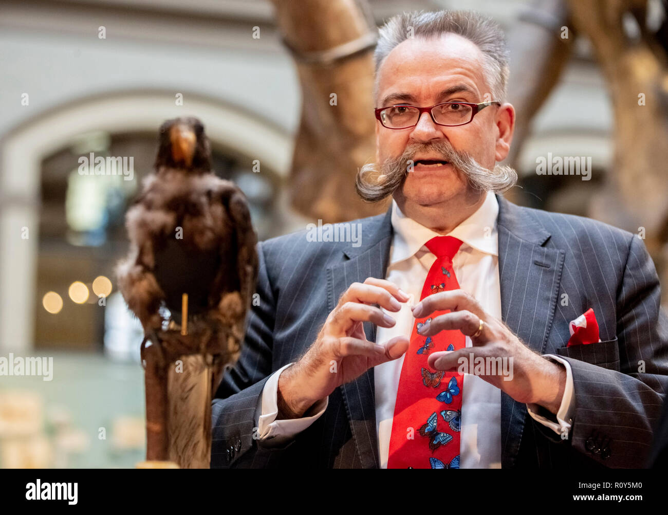 Berlin, Germany. 07th Nov, 2018. Johannes Vogel, General Director of the Berlin Museum of Natural History, takes part in a press conference at the Berlin Museum of Natural History. The Berlin Museum of Natural History receives a three-digit million sum injection of money from the federal government and the state for its renovation and expansion. Credit: Christoph Soeder/dpa/Alamy Live News Stock Photo