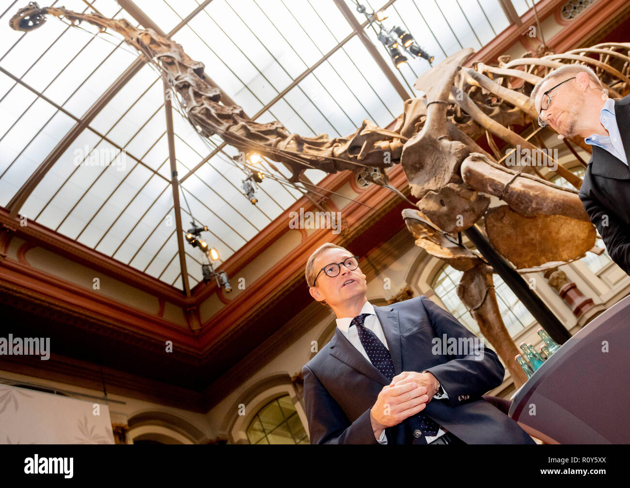 Berlin, Germany. 07th Nov, 2018. Michael Müller (SPD, l), governing mayor of Berlin, and Johannes Kahrs (SPD), spokesman of the SPD parliamentary group in the budget committee, take part in a press conference in the Berlin Museum of Natural History. The Berlin Museum of Natural History receives a three-digit million sum injection of money from the federal government and the state for its renovation and expansion. Credit: Christoph Soeder/dpa/Alamy Live News Stock Photo