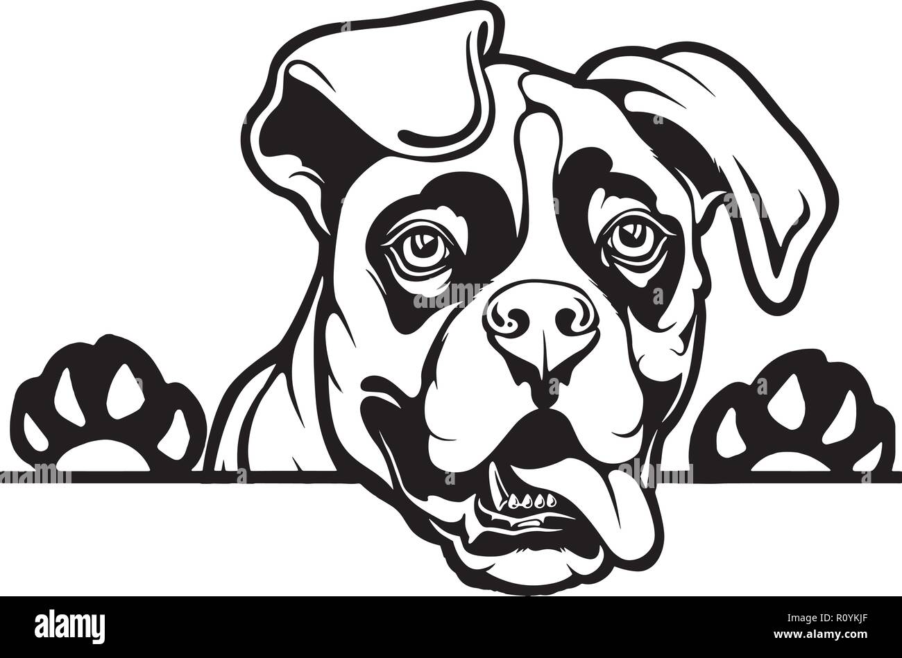 Boxer Dog Face Drawing