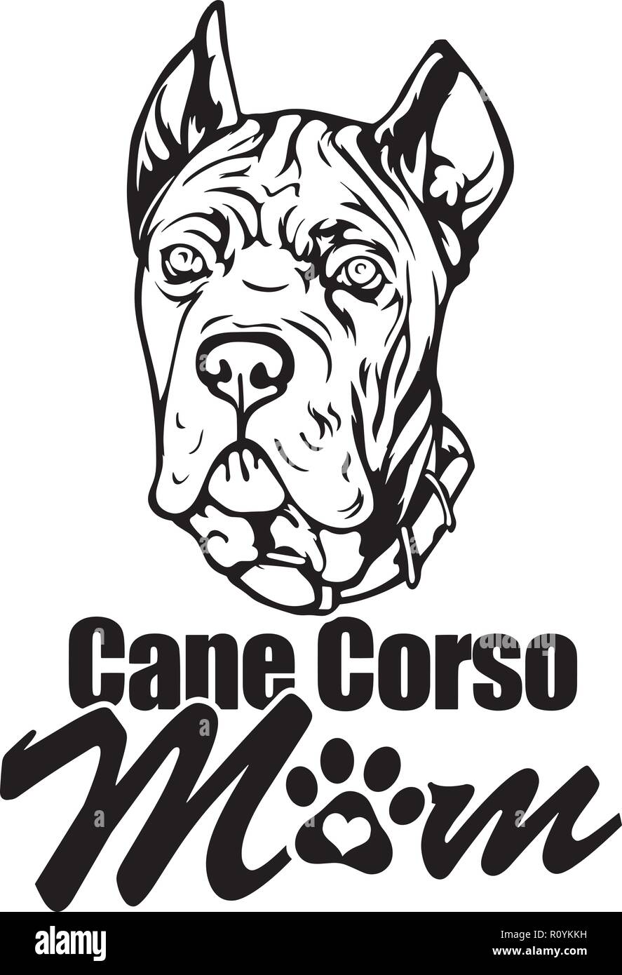 Cane Corso Dog Breed Head Isolated Pedigree Pet Portrait Smiling Happy Puppy Face Animal Cartoon Illustration Portrait Art Artwork Cute Design Stock Vector
