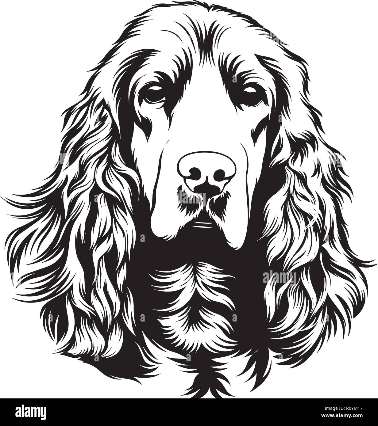 Cocker Spaniel Dog Breed Head Isolated Pedigree Pet Portrait Smiling Happy Puppy Face Animal Cartoon Illustration Portrait Art Artwork Cute Design Stock Vector